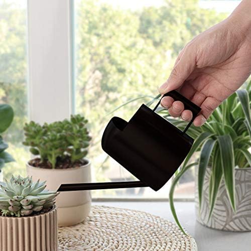 Mini Watering Can, 10oz/300ml Stainless Steel Long Spout Small Watering Can for Indoor Plants Succulents, Herbs (Black)