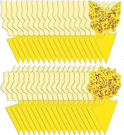 36 Pack Fruit Fly Traps for Indoors, Gnat Traps for House Indoor, Sticky Traps Fungus Gnats Killer for Mosquito and Flying Insects, Bug Pest Insect Catcher Killer for Houseplant
