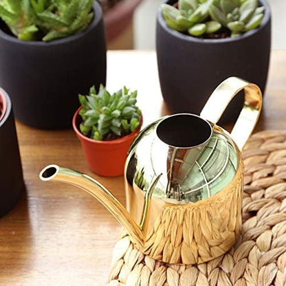 Small Watering Can for Indoor Plants, 15oz/450ml Stainless Steel Long Spout Watering Can for Succulents, Herbs (Gold)