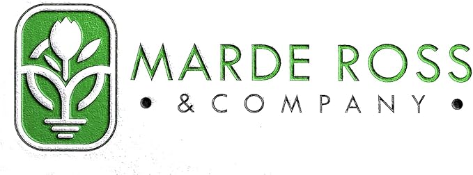 Mixed English Daisy Seeds - Beautiful Lawn Addition