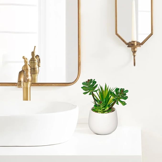 Briful Artificial Succulents Plants in Ceramic Pot, Faux Succulent with White Planters – Modern Desk Decor for Home Office Shelf Bathroom, Small Fake Plants Potted