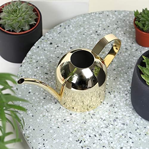 Small Watering Can for Indoor Plants, 15oz/450ml Stainless Steel Long Spout Watering Can for Succulents, Herbs (Gold)