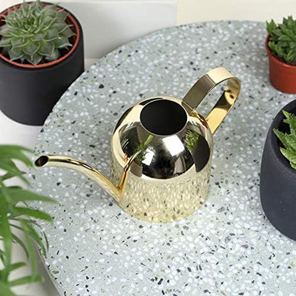 Small Watering Can for Indoor Plants, 15oz/450ml Stainless Steel Long Spout Watering Can for Succulents, Herbs (Gold)