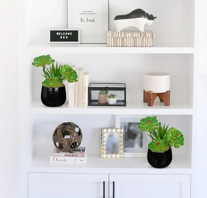 Briful Artificial Succulents Plants in Ceramic Pots, 2 Pack Faux Succulent Set with Black Planters – Modern Desk Decor for Home Office Shelf Bathroom, Small Fake Plants Potted