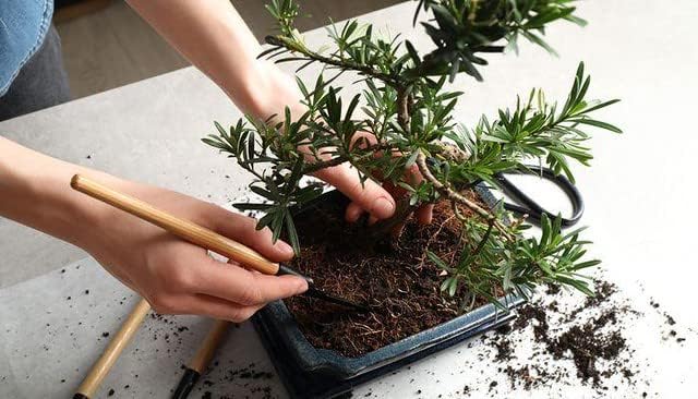 Gardenera Pro Bonsai Soil Premium Potting Mix - Achieve Bonsai Perfection with Natural Ingredients for Ideal Air and Moisture Balance - 3 Quart