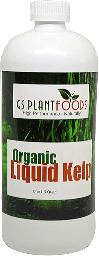 Organic Kelp Fertilizer by GS Plant Foods - Omri Certified (1 Quart) - Kelp Fertilizer for Gardens, Lawns & Soil