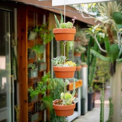 Shallow Terracotta Pots 5 inch, Pack of 6 Clay Pots for Plants with Drainage Holes and Saucers, Mini Nursery Plant Pots for Seed, Succulents, Cactus, Indoor,Outdoor