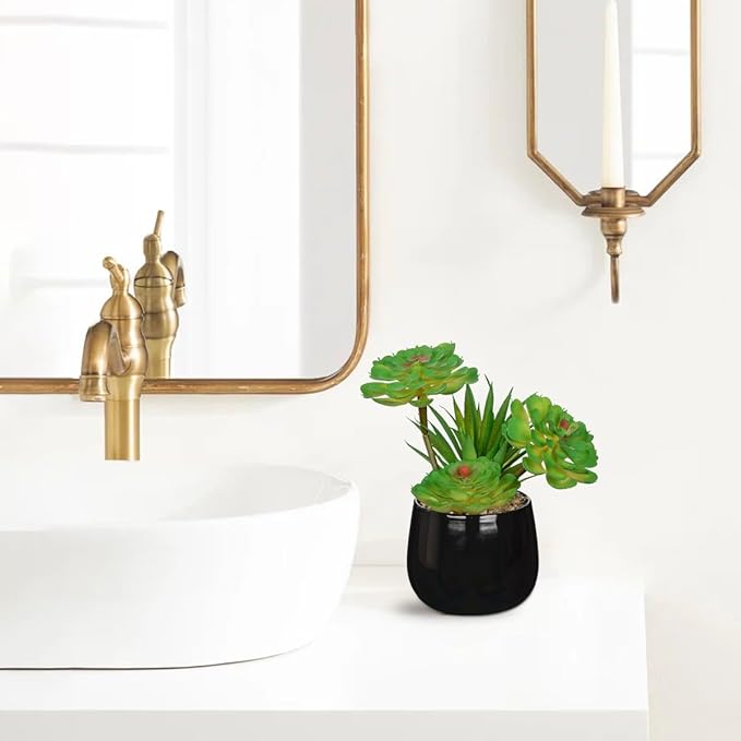 Briful Artificial Succulents Plants in Ceramic Pots, 2 Pack Faux Succulent Set with Black Planters – Modern Desk Decor for Home Office Shelf Bathroom, Small Fake Plants Potted