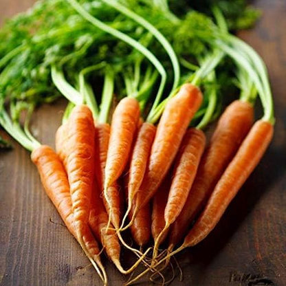 Gaea's Blessing Seeds - Carrot Seeds - Imperator 58 Non-GMO Seeds with Easy to Follow Planting Instructions - Heirloom Net Wt. 1.5g Germination Rate 91%