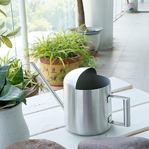 Mini Watering Can, 10oz/300ml Stainless Steel Long Spout Small Watering Can for Indoor Plants Succulents, Herbs (Silver)