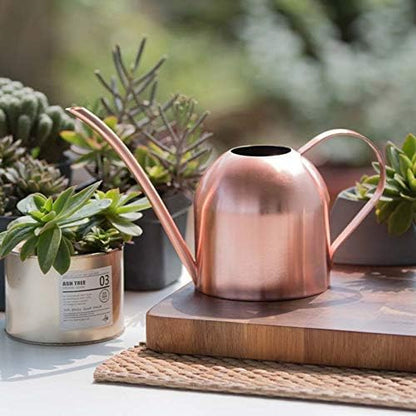 Small Watering Can for Indoor Plants, 15oz/450ml Stainless Steel Long Spout Watering Can for Succulents, Herbs (Rose Gold)