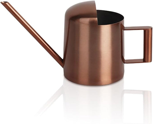 Watering Can 10oz/300ml, Stainless Steel Long Spout Watering Pot Watering Sprinkling Pot for Indoor Outdoor Garden Flower Succulents Plant