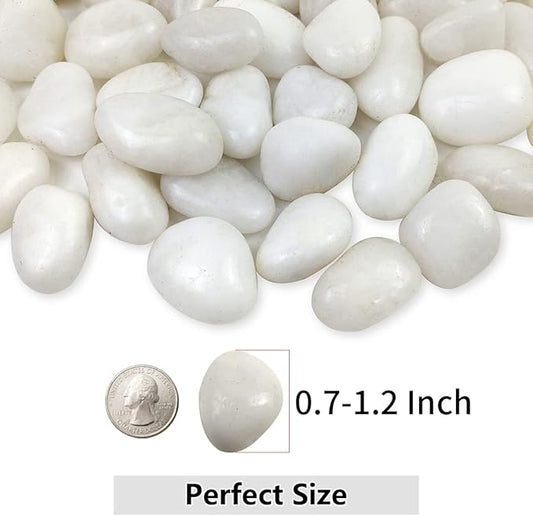 White Pebbles for Indoor Plants, Natural Polished River Rocks, Small Decorative Stones for Planters Vase Fish Tank Aquariums Landscaping Garden, 2lbs