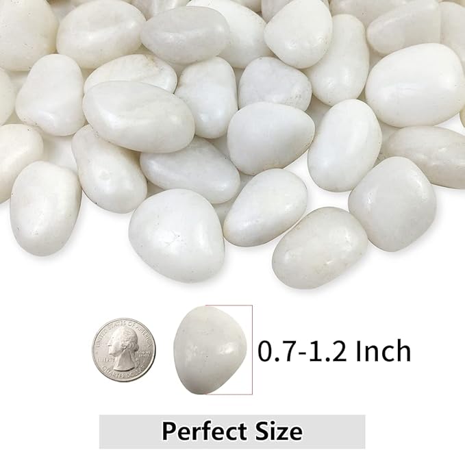 White Pebbles for Indoor Plants, Natural Polished River Rocks, Small Decorative Stones for Planters Vase Fish Tank Aquariums Landscaping Garden, 5lbs