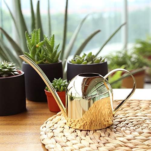Small Watering Can for Indoor Plants, 15oz/450ml Stainless Steel Long Spout Watering Can for Succulents, Herbs (Gold)
