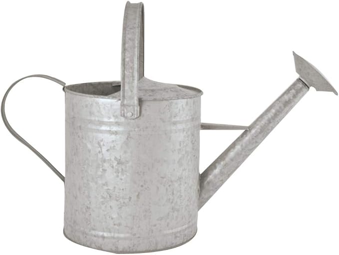 Esschert Design OZ45 Zinc Watering Can, Large