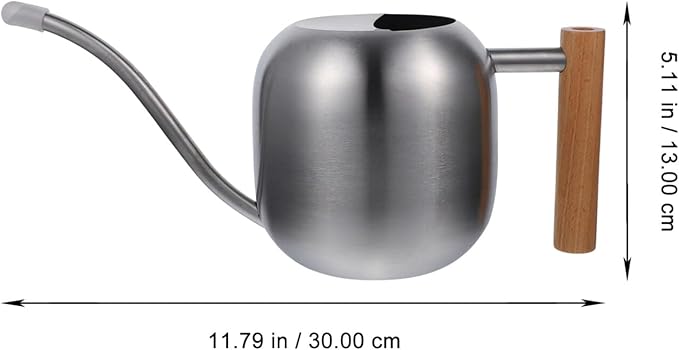 HANABASS 1200ml Long Spout Watering Can Indoor Plant Watering Can Metal Small for Indoor Plants (Silver)