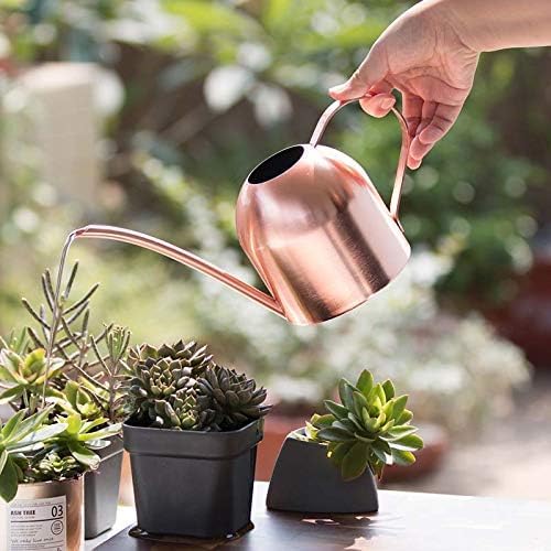 Small Watering Can for Indoor Plants, 15oz/450ml Stainless Steel Long Spout Watering Can for Succulents, Herbs (Rose Gold)