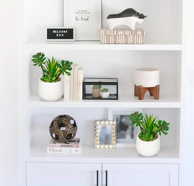 Briful Artificial Succulents Plants in Ceramic Pot, Faux Succulent with White Planters – Modern Desk Decor for Home Office Shelf Bathroom, Small Fake Plants Potted