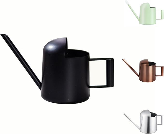 Mini Watering Can, 10oz/300ml Stainless Steel Long Spout Small Watering Can for Indoor Plants Succulents, Herbs (Black)