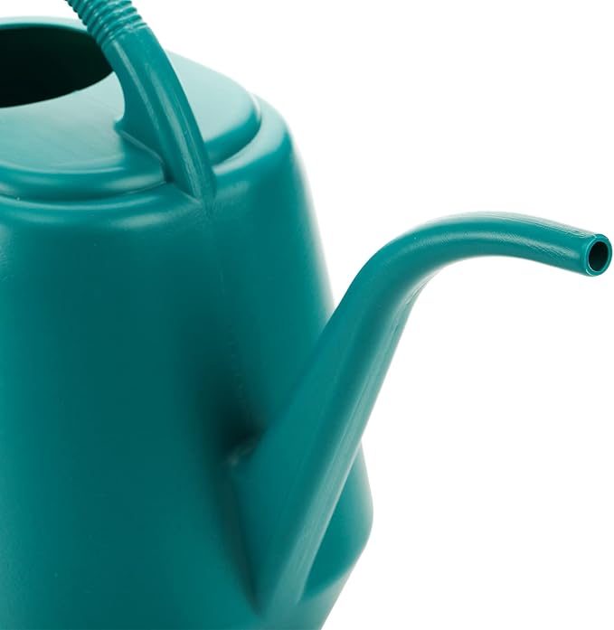 Fasmov 1-Gallon Plastic Watering Can with Comfortable Handle, Garden Watering Cans Long Spout for Indoor Outdoor Watering Plants (Green)