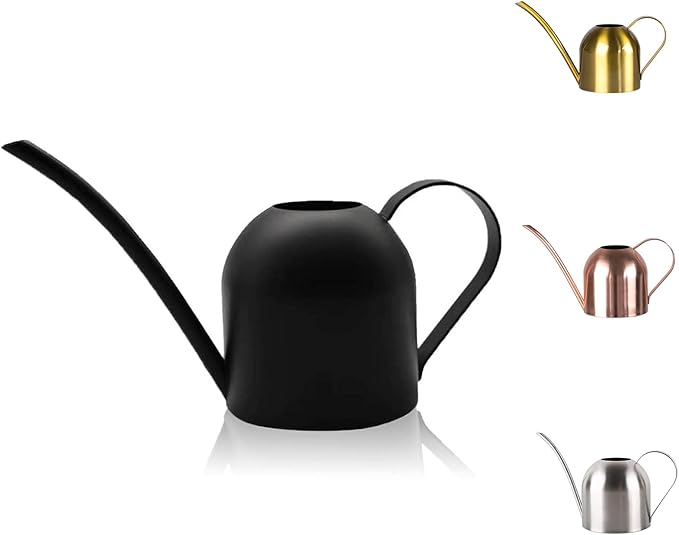 Small Watering Can for Indoor Plants, 15oz/450ml Stainless Steel Long Spout Watering Can for Succulents, Herbs (Black)