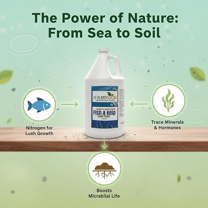 GS Plant Foods Liquid Fish & Kelp Fertilizer (1 Gallon) – Organic Material Review Institute Listed Natural Plant Food for Home Gardens, and Vegetables