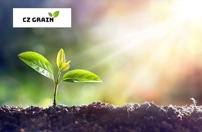 Wood Poppy Roots (Stylophorum diphyllum) – Shade-Loving Native Perennial with Brilliant Yellow Blooms (3 Roots)