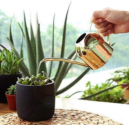 Small Watering Can for Indoor Plants, 15oz/450ml Stainless Steel Long Spout Watering Can for Succulents, Herbs (Gold)