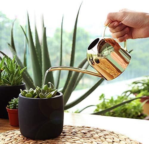 Small Watering Can for Indoor Plants, 15oz/450ml Stainless Steel Long Spout Watering Can for Succulents, Herbs (Gold)