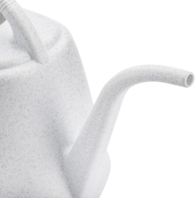 Fasmov 1-Gallon Plastic Watering Can with Comfortable Handle, Garden Watering Cans Long Spout for Indoor Outdoor Watering Plants (Gray White)