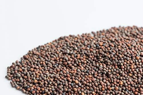 8 oz Broccoli Seed, Non-GMO Broccoli Seeds for Sprouting Sprouts Microgreens, Pure Seed. Country Creek LLC. Brand