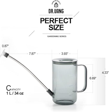 Small Watering Can Indoor Plants with Long Spout (1L, Gray)