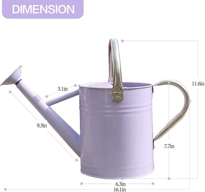 Metal Watering Can, One Gallon Watering Cans Stainless Steel for Outdoor Indoor Garden Plants Watering (Stainless Steel Handle Purple)