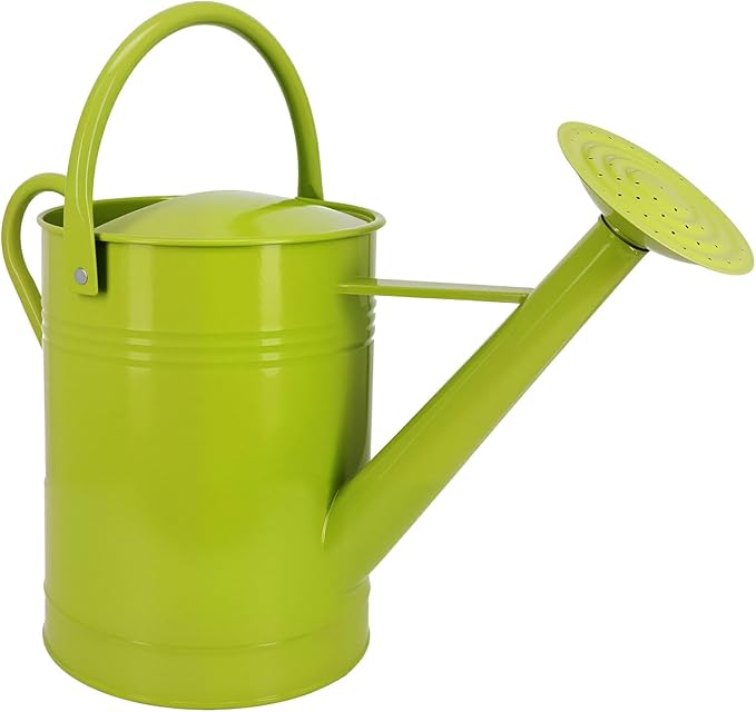 Galvanized Iron Watering Can for Indoor Plants, DIY Watering Cans for House Plant Garden Flower, Long Spout Water Can for Outdoor Watering Plants 6.44L 1.7Gallon (Green)