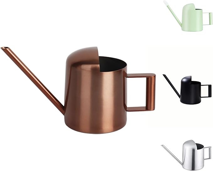 Mini Watering Can, 10oz/300ml Stainless Steel Long Spout Small Watering Can for Indoor Plants Succulents, Herbs (Bronze)