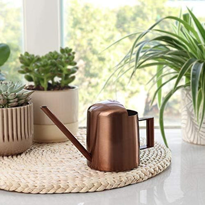 Mini Watering Can, 10oz/300ml Stainless Steel Long Spout Small Watering Can for Indoor Plants Succulents, Herbs (Bronze)