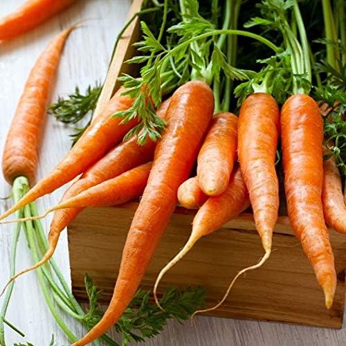 Gaea's Blessing Seeds - Carrot Seeds - Tendersweet - Non-GMO Seeds with Easy to Follow Planting Instructions - Heirloom Net Wt. 1.5g Germination Rate 91%