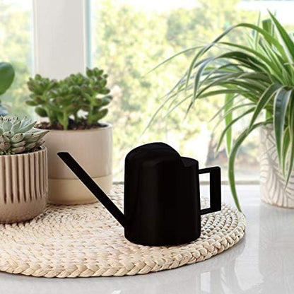 Mini Watering Can, 10oz/300ml Stainless Steel Long Spout Small Watering Can for Indoor Plants Succulents, Herbs (Black)