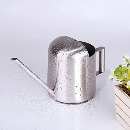 Mini Watering Can, 10oz/300ml Stainless Steel Long Spout Small Watering Can for Indoor Plants Succulents, Herbs (Silver)