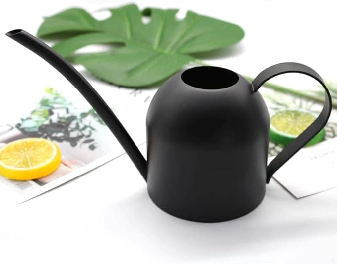 Small Watering Can for Indoor Plants, 15oz/450ml Stainless Steel Long Spout Watering Can for Succulents, Herbs (Black)