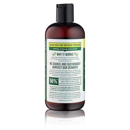 Liquid Seaweed Premium Concentrate - All Natural Kelp Fertilizer - Enhances Plant & Flower Growth + Seed Germination & Root Development - 16 Oz
