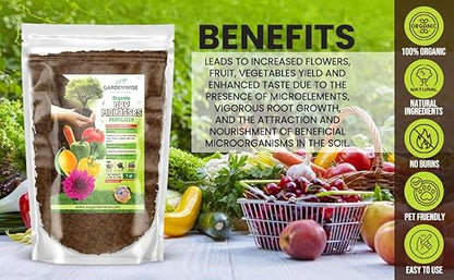 Organic Molasses for Plants - Horticultural Molasses - Ideal for Traditional & Hydroponic Gardening, for Indoor & Outdoor Plants (3 QUARTS)