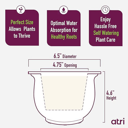 African Violet Pots Self Watering – 6.5”W x 4.6”H Ceramic Self Watering Pots for Indoor Plants with Glazed White Outer Pot & Absorbent Inner Pot for Easy Plant Care