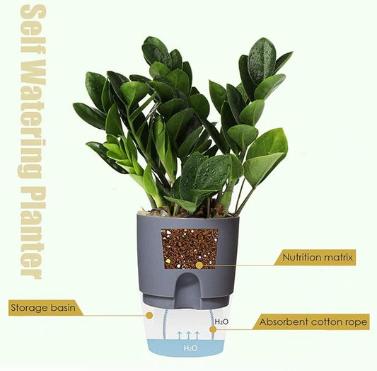 Vanavazon 6 Inch Self Watering Planter Pots for Indoor Plants, 3 Pack African Violet Pots with Wick Rope-Grey