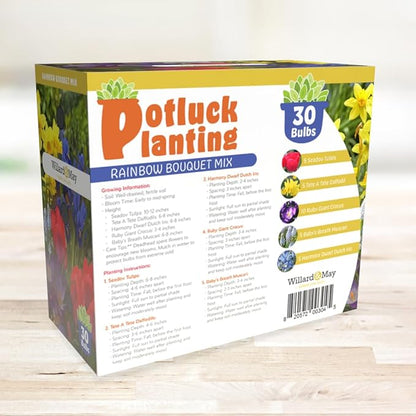 All-in-One Flower Garden Kit - 30 Bulbs Per Box - Potluck Planting Rainbow Bouquet Mix - Tulips, Daffodils, Iris, Crocus, Muscari - Live Outdoor Garden - Easy to Plant Flowers