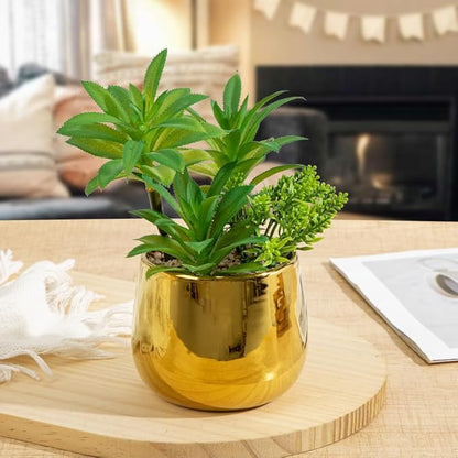 Briful Artificial Succulents Plants in Ceramic Pots, 2 Pack Faux Succulent Set with Gold Planters – Modern Desk Decor for Home Office Shelf Bathroom, Small Fake Plants Potted