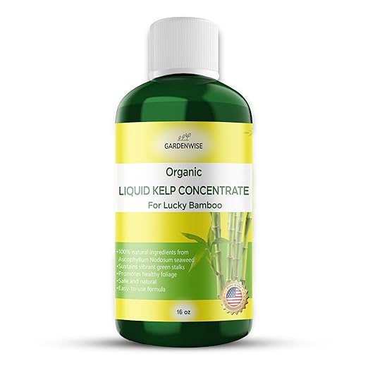 Organic Premium Kelp Seaweed Liquid Fertilizer for Lucky Bamboo - Natural Soil Enhancer (16 OZ)