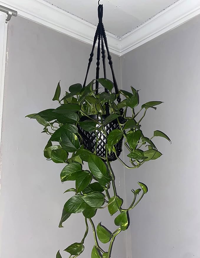 2 Pack 43 Inches Macrame Planter Hanger Large for 12 inch Pot (Extra Long & Big) + Swag Hook | Large Hanging Planter for Indoor Plants | No Pot/Plant Included (XL)