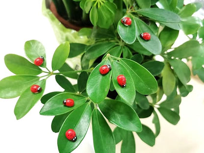 Fairy Garden Accessories Miniatures Sculptures Statues,Yard Decor for Outside Gnomes Outdoor Decor for Patio Zen